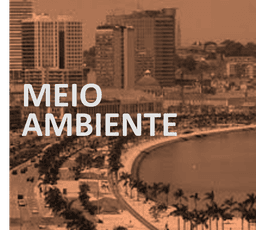Categoria Meio Ambiente